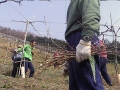 cocoromigakuen048 cocoromigakuen048