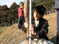 cocoromigakuen241 cocoromigakuen241